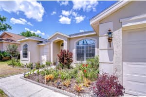 316 CRYSTAL GOBLET COURT, VALRICO, FL 33594 Sold 06/24/25