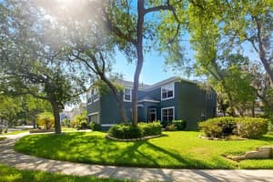 7310 BRIGHTWATER OAKS DRIVE, TAMPA, FL 33625 - MLS#MFRTB8380014