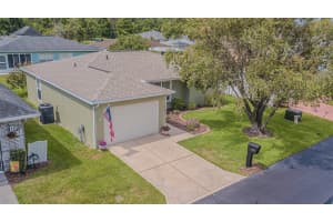 29436 ZELLER AVENUE, SAN ANTONIO, FL 33576 - MLS#MFRTB8380088