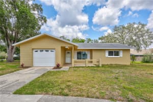 2961 Briar Cliff Dr, PALM HARBOR