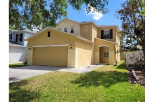 4633 White Bay Cir, WESLEY CHAPEL