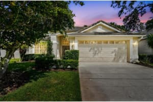 17616 NATHANS DRIVE, TAMPA, FL 33647 Sold 06/11/25