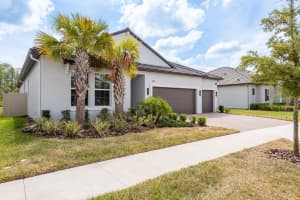 10982 BANYAN BREEZE BOULEVARD, LAND O LAKES, FL 34638 Sold 06/18/25