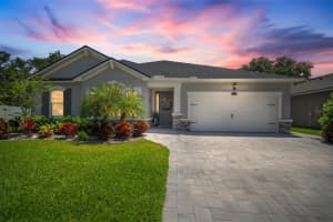 13013 SATIN LILY DRIVE, RIVERVIEW, FL 33579 Sold 06/06/25
