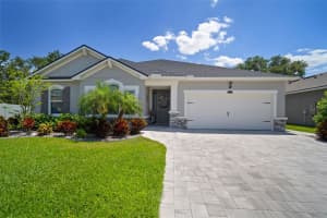 13013 SATIN LILY DRIVE, RIVERVIEW, FL 33579 Sold 06/06/25