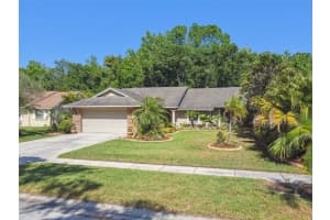 15014 WINTERWIND DRIVE, TAMPA, FL 33624 Sold 06/27/25