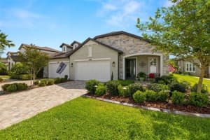 4220 Barletta Ct, WESLEY CHAPEL