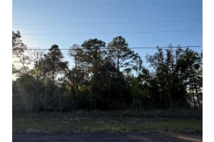 9172 MARCUS WAY, CITRUS SPRINGS, FL 34433 - MLS#MFRTB8380364