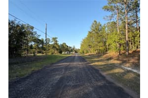 9172 MARCUS WAY, CITRUS SPRINGS, FL 34433 - MLS#MFRTB8380364