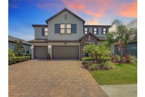 18203 PINE HAMMOCK BOULEVARD, LUTZ, FL 33548 Sold 07/18/25
