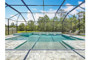 18203 PINE HAMMOCK BOULEVARD, LUTZ, FL 33548 Sold 07/18/25