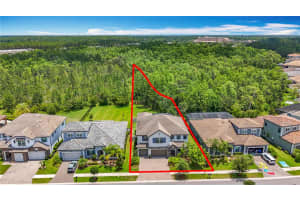 18203 PINE HAMMOCK BOULEVARD, LUTZ, FL 33548 Sold 07/18/25