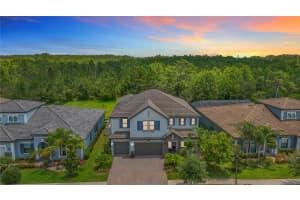 18203 PINE HAMMOCK BOULEVARD, LUTZ, FL 33548 Sold 07/18/25