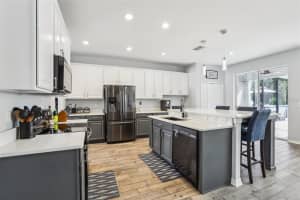 3046 DONINGTON CASTLE LANE, LAND O LAKES, FL 34638 Sold 06/25/25