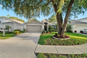 5520 Terrain De Golf Dr, LUTZ