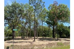 SW 110TH CT, DUNNELLON, FL 34432 - MLS#MFRTB8380529