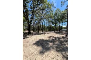 SW 110TH CT, DUNNELLON, FL 34432 - MLS#MFRTB8380529