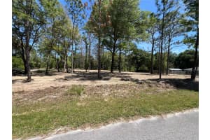 SW 110TH CT, DUNNELLON, FL 34432 - MLS#MFRTB8380529