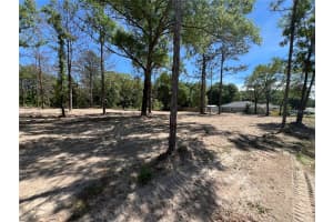 SW 110TH CT, DUNNELLON, FL 34432 - MLS#MFRTB8380529