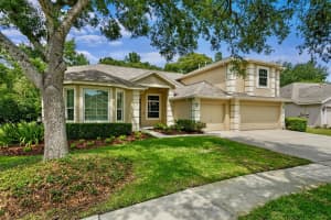 19207 AUTUMN WOODS AVENUE, TAMPA, FL 33647 Sold 07/14/25