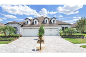 4300 Barletta Ct, WESLEY CHAPEL