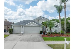 29542 Forest Glen Dr, WESLEY CHAPEL 29542 Forest Glen Dr, WESLEY CHAPEL