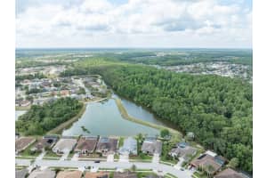 29542 FOREST GLEN DRIVE, WESLEY CHAPEL, FL 33543 - MLS#MFRTB8380598