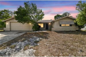8907 Pandora Ln, PORT RICHEY