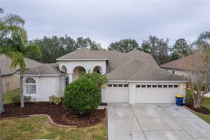 21215 Tyrell Way, LAND O LAKES