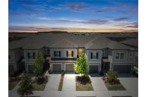 31970 BLUE PASSING LOOP, WESLEY CHAPEL, FL 33545 - MLS#MFRTB8380660