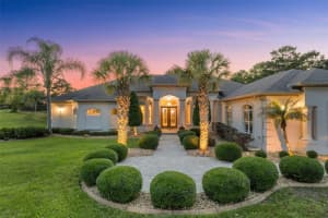 10117 BREEZY PINES COURT, WEEKI WACHEE, FL 34613 Sold 06/30/25