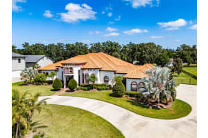 304 HAWK TALON DRIVE, LITHIA, FL 33547 - MLS#MFRTB8380702