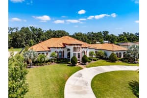 304 HAWK TALON DRIVE, LITHIA, FL 33547 - MLS#MFRTB8380702