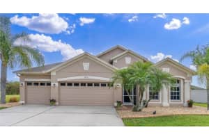 10911 ROCKLEDGE VIEW DRIVE, RIVERVIEW, FL 33579 Sold 06/20/25