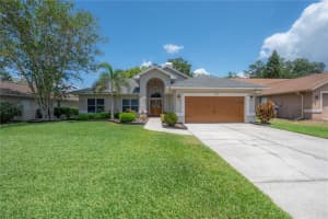 905 CLEARCREEK DRIVE, TAMPA, FL 33613 Sold 06/09/25