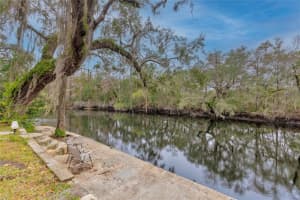 11927 RIVERHILLS DR, TEMPLE TERRACE, FL 33617 - MLS#MFRTB8380769
