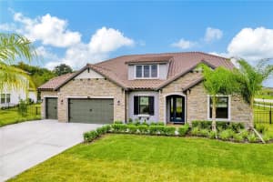 17804 BREWSTER GREEN, LUTZ, FL 33559 Sold 08/20/25