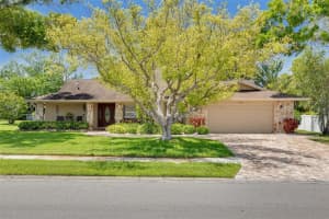 2550 ROLLING VIEW DRIVE, DUNEDIN, FL 34698 Sold 06/10/25