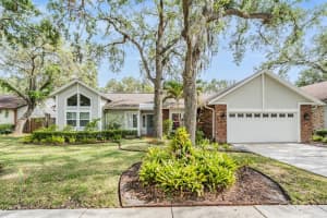 614 FAYETTE DRIVE, SAFETY HARBOR, FL 34695 Sold 09/03/25