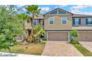 28516 TRANQUIL LAKE CIRCLE, WESLEY CHAPEL, FL 33543 - MLS#MFRTB8380852