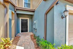 28516 TRANQUIL LAKE CIRCLE, WESLEY CHAPEL, FL 33543 - MLS#MFRTB8380852