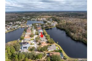 10506 Sky Flower Ct, LAND O LAKES