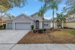 10506 SKY FLOWER COURT, LAND O LAKES, FL 34638 - MLS#MFRTB8380892