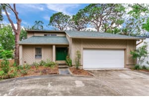 4802 DRYAD STREET, TAMPA, FL 33629 - MLS#MFRTB8380903