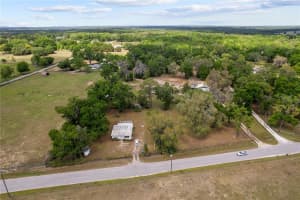 29193 OLD TRILBY ROAD, BROOKSVILLE, FL 34602 - MLS#MFRTB8380905