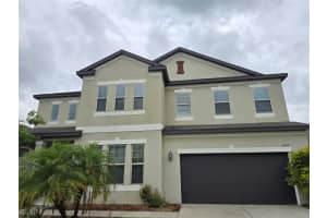 11839 Cross Vine Dr, RIVERVIEW
