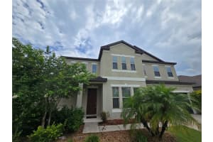 11839 CROSS VINE DRIVE, RIVERVIEW, FL 33579 - MLS#MFRTB8380924