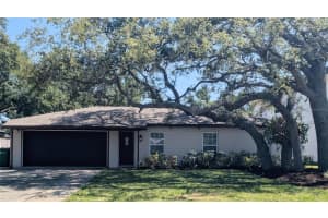 2904 MARLIN AVENUE, TAMPA, FL 33611 Sold 06/26/25