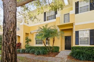 7421 ARLINGTON GROVE CIRCLE, TAMPA, FL 33625 - MLS#MFRTB8380956