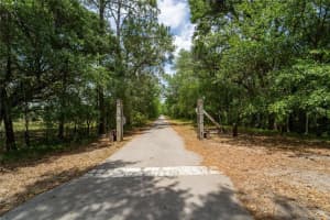 VAN FLEET RD, POLK CITY, FL 33868 - MLS#MFRTB8380977